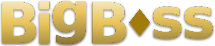 Big Boss logo